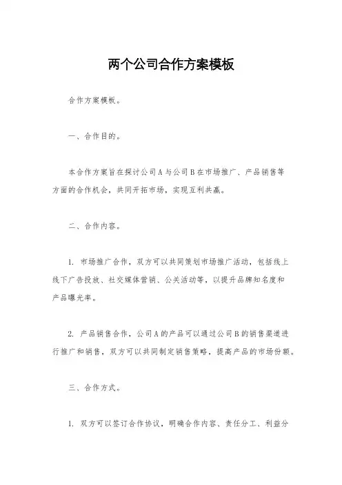 两个公司合作方案模板