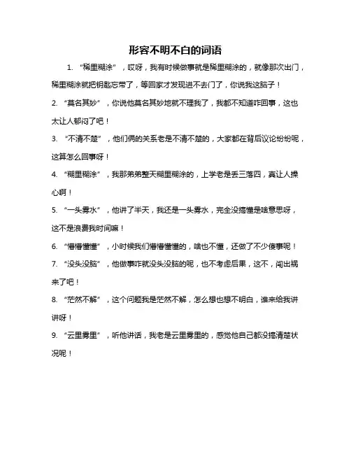 形容不明不白的词语