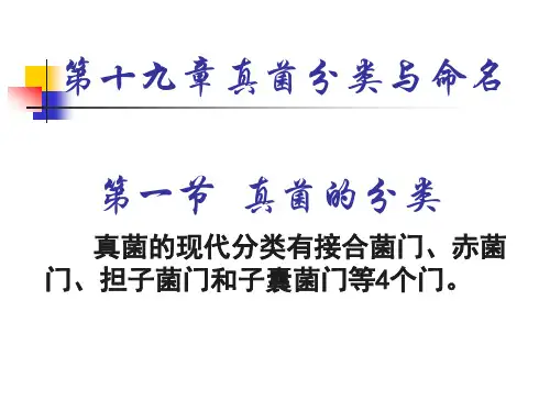 真菌分类与命名