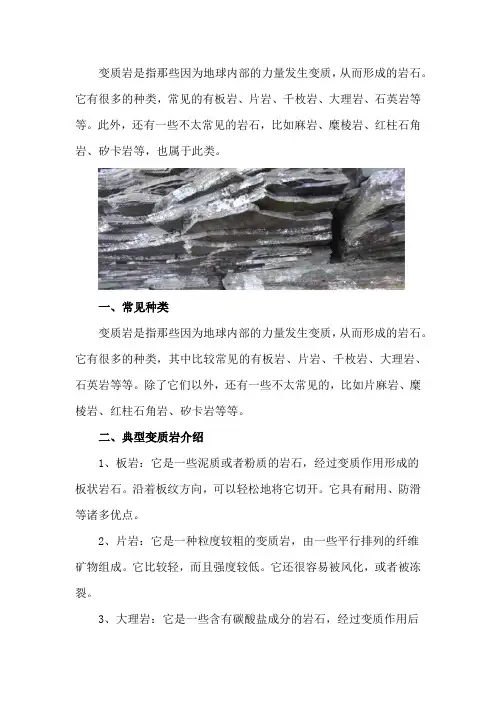 变质岩有哪些