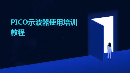 PICO示波器使用培训教程