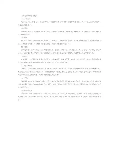 万寿菊的田间管理技术