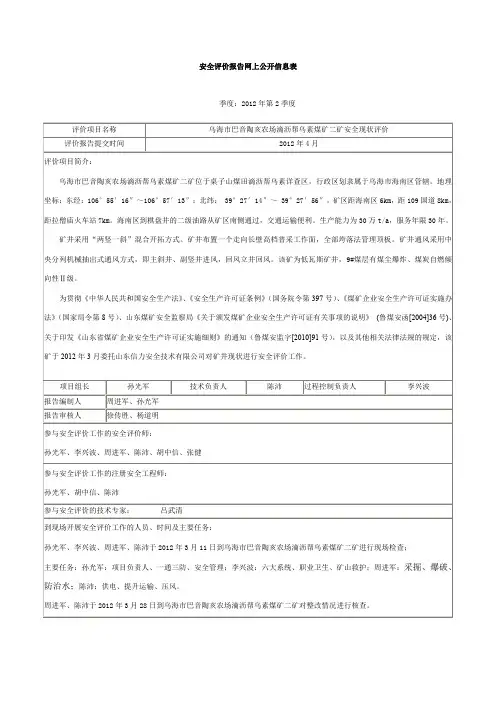安全评价报告网上公开信息表