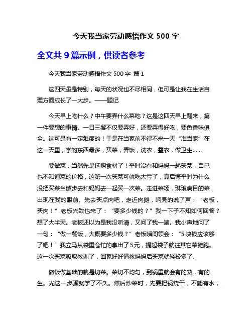 今天我当家劳动感悟作文500字