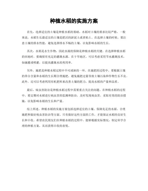 种植水稻的实施方案