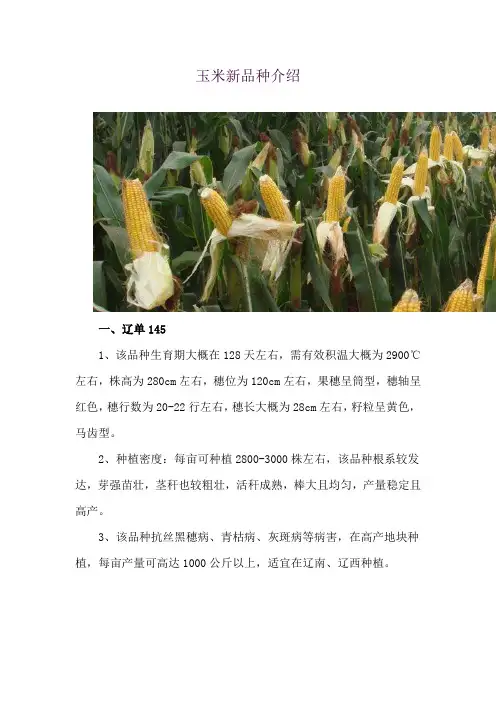玉米新品种介绍