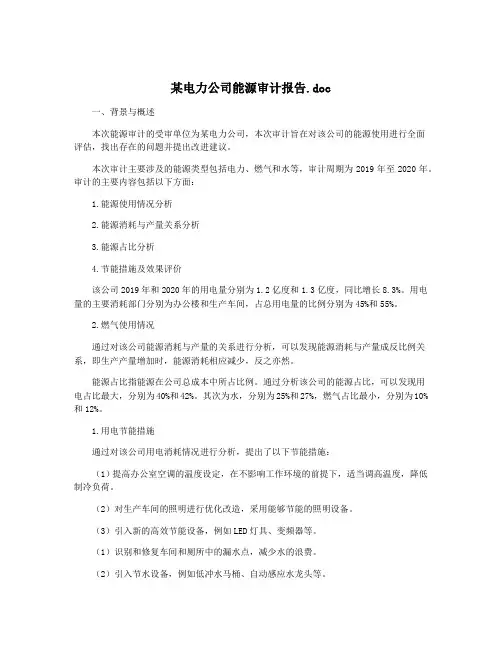 某电力公司能源审计报告.doc