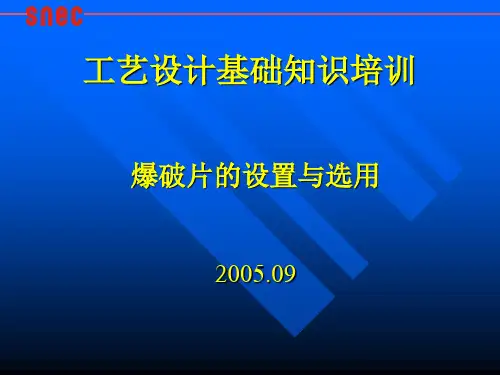 爆破片的设置和选用