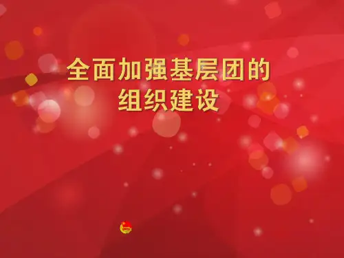 基层团的组织建设 PPT