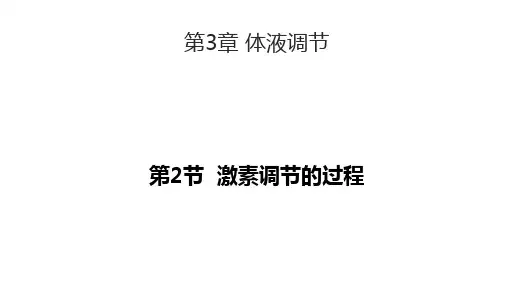激素调节的过程课件(共24页ppt)人教版2019选择性必修一
