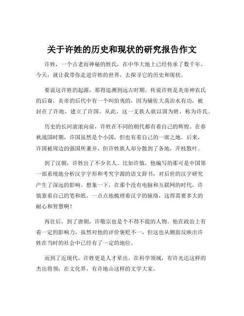 关于许姓的历史和现状的研究报告作文