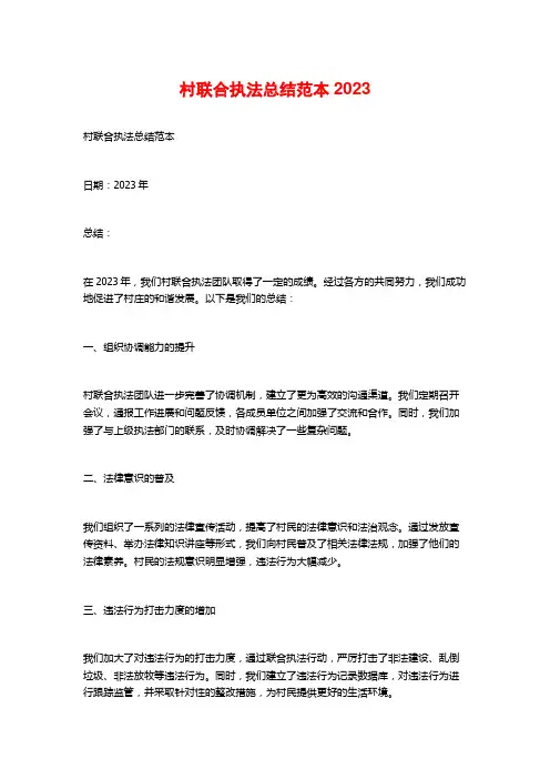 村联合执法总结范本2023