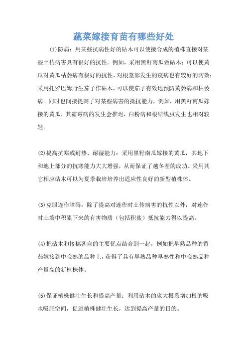 蔬菜嫁接育苗有哪些好处