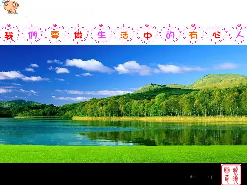 直角三角形全等的判定（课件）