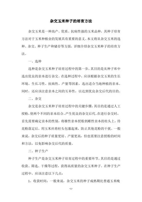 杂交玉米种子的培育方法