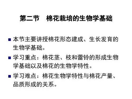 棉花栽培生物学基础