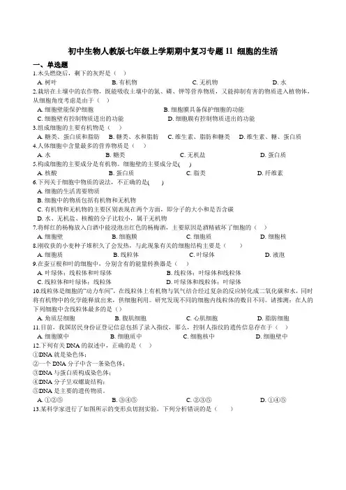 初中生物人教版七年级上学期期中复习专题11 细胞的生活（含解析）