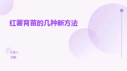 红薯育苗的几种新方法