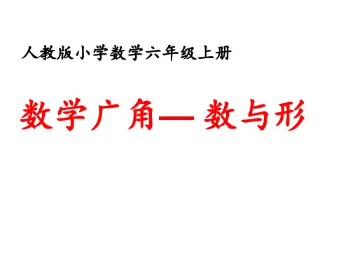 8-数学广角数与形单元36pPPT课件