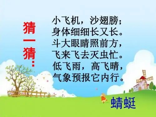 《蜻蜓飞飞》课件