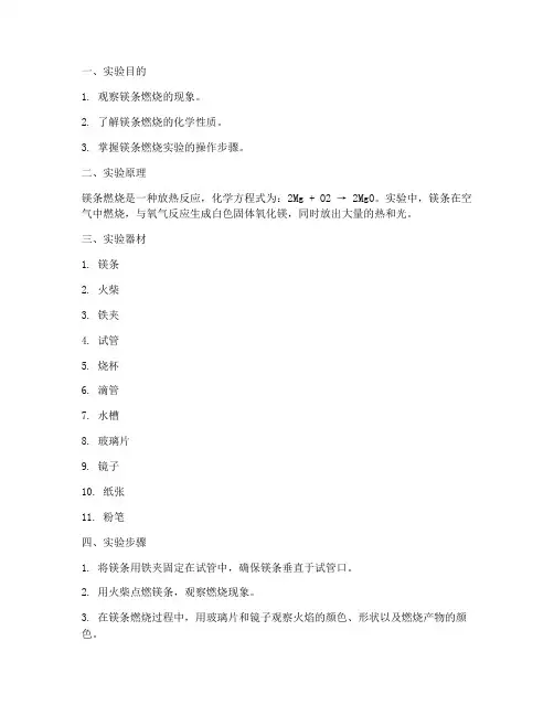 镁条_实验报告