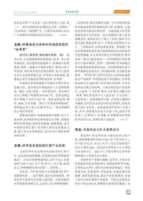 云南：树番茄成为施甸农民增收致富的“金果果”