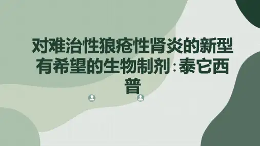 对难治性狼疮性肾炎的新型有希望的生物制剂泰它西普