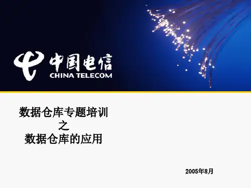 004数据仓库主题讲座—数据仓库应用精品PPT课件