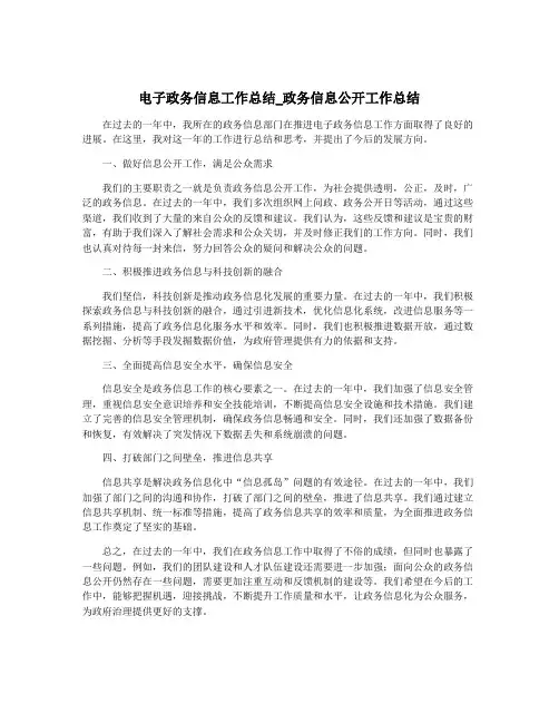 电子政务信息工作总结_政务信息公开工作总结