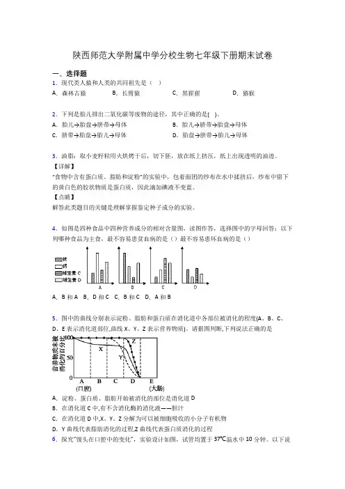 陕西师范大学附属中学分校生物七年级下册期末试卷