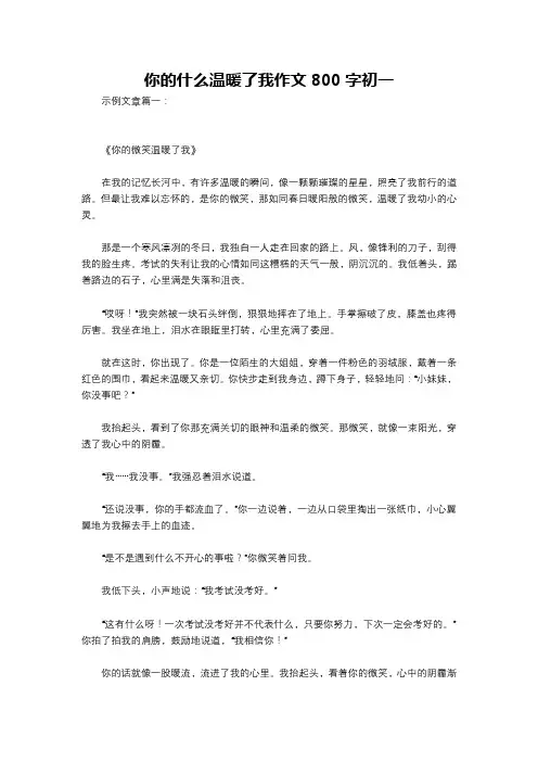 你的什么温暖了我作文800字初一