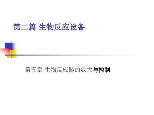 生物工程设备第五章 生物反应器的放大与控制