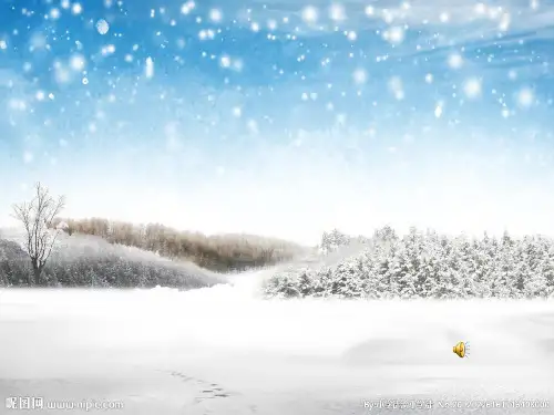 江雪PPT课件