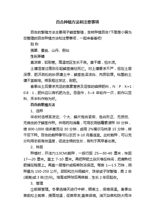 百合种植方法和注意事项