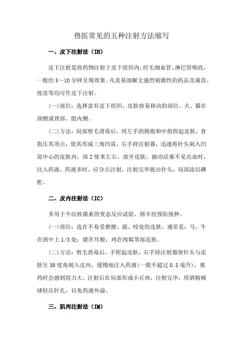 兽医常见的五种注射方法缩写