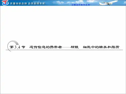 一、核酸的分布、结构和功能1.核酸在细胞