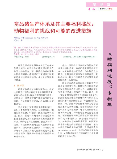 商品猪生产体系及其主要福利挑战：动物福利的挑战和可能的改进措施