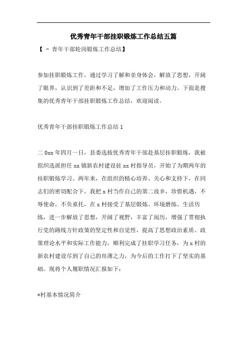 优秀青年干部挂职锻炼工作总结五篇