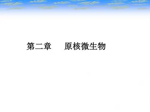 环境微生物 第二章 原核微生物
