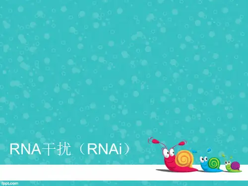 RNA干扰