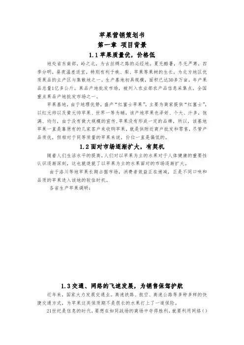 苹果营销项目策划书