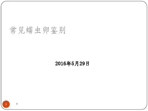 常见蠕虫卵鉴别
