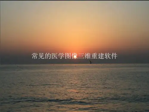 常见的医学图像三维重建软件