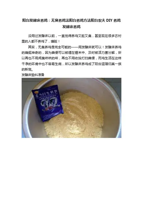 阳台发酵床养鸡：无臭养鸡法阳台养鸡方法阳台农夫DIY养鸡发酵床养鸡