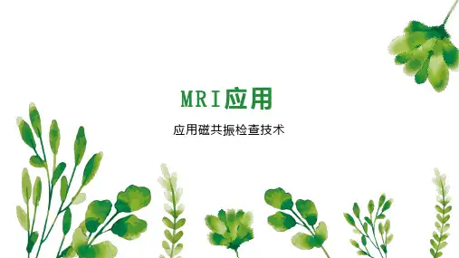 MRI应用 