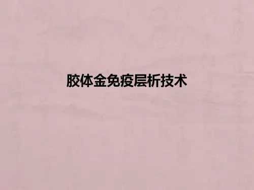 [医学]胶体金免疫层析技术