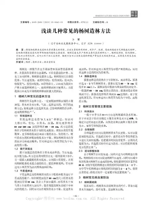 浅谈几种常见的杨树造林方法