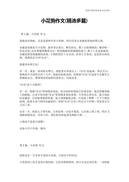 小花狗作文(精选多篇)