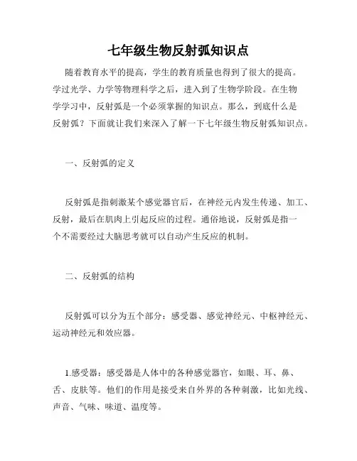 七年级生物反射弧知识点