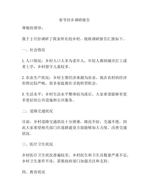 春节回乡调研报告